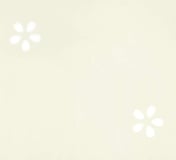 ソリッド_フラワーホワイト