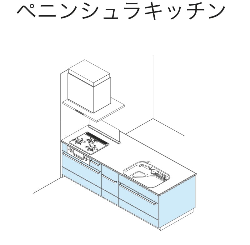 peninsulatype_illustration